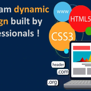 Dynamic Web Designing